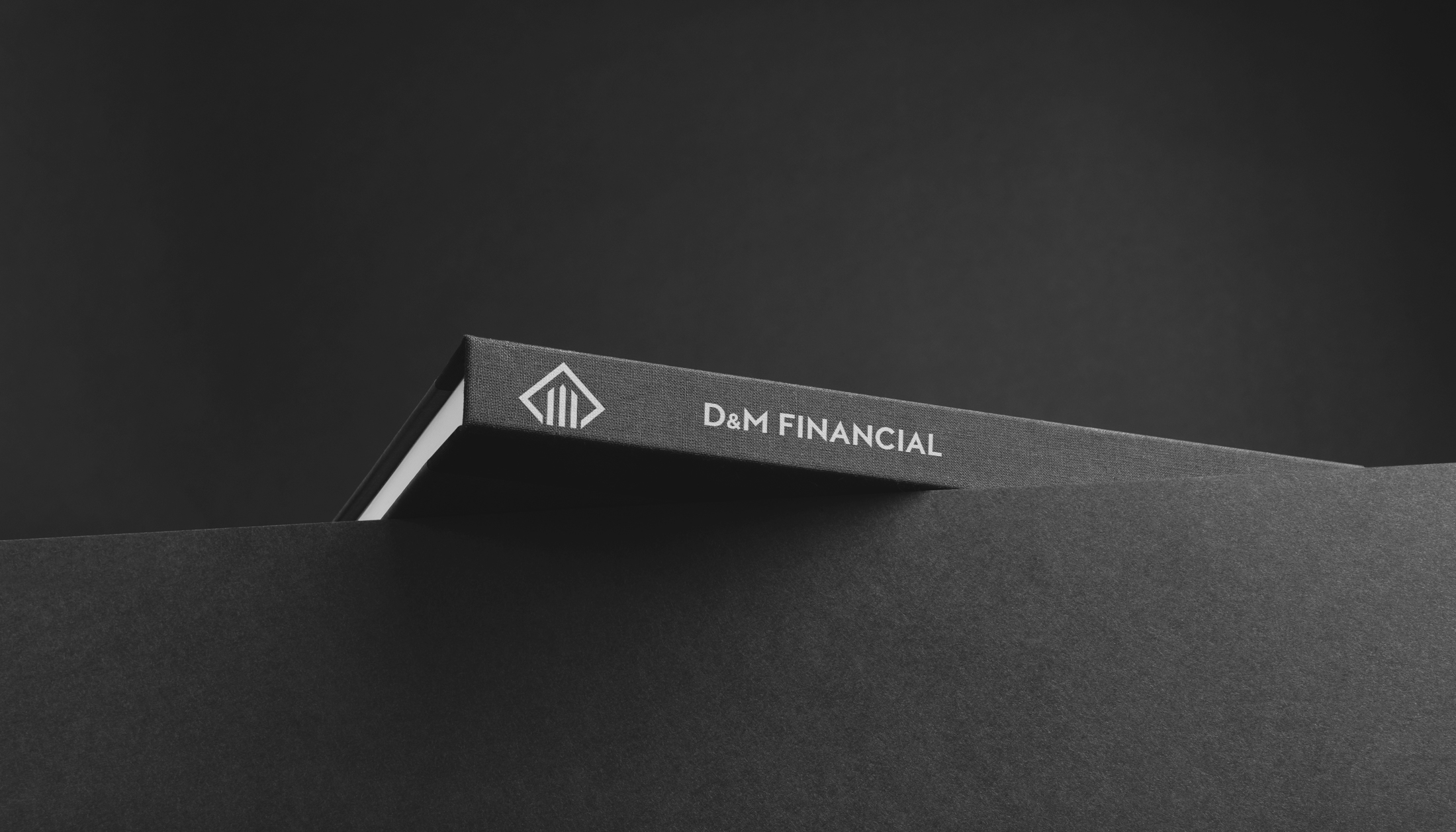 Logo book for DM Financial