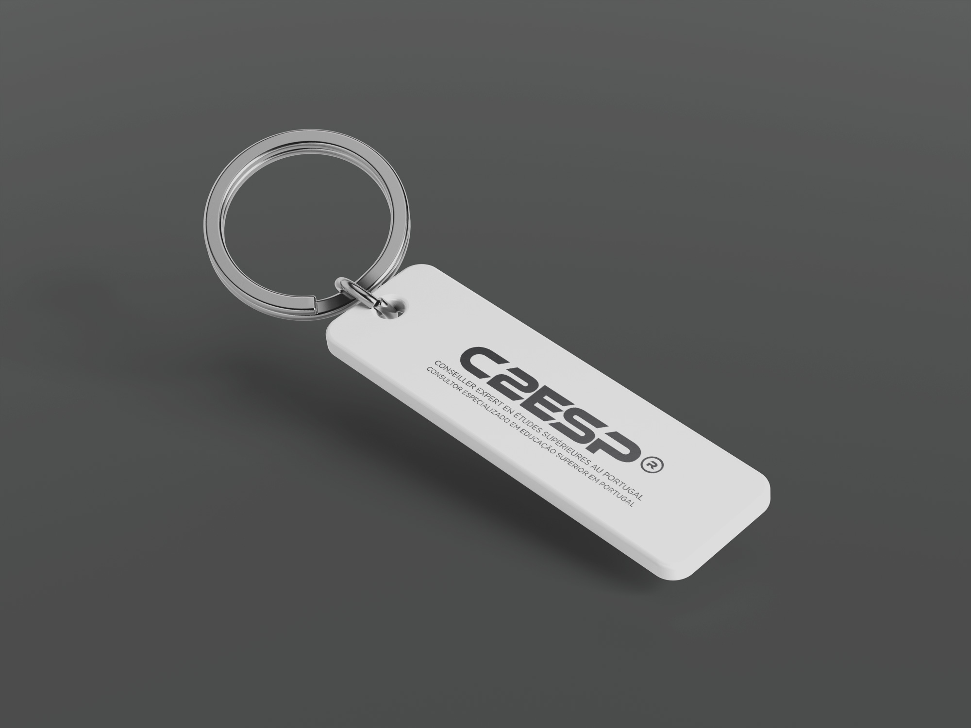 C2ESP modern logo simple keychain mockup