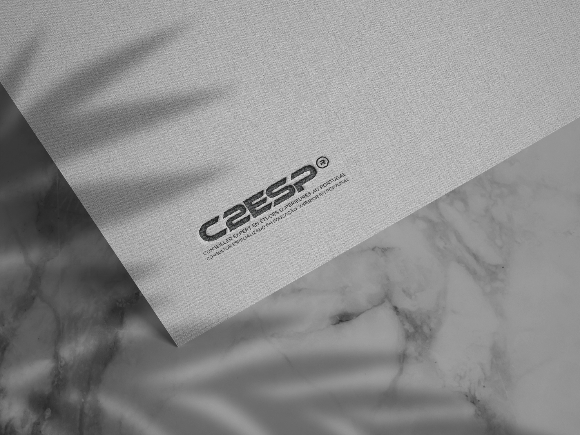 C2ESP logo in an elegant mockup setting