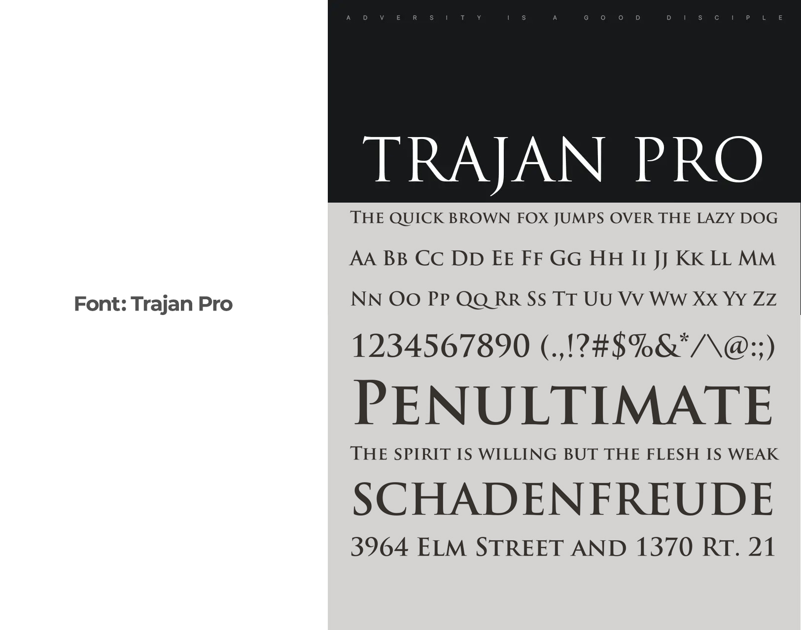 Trajan Pro Font