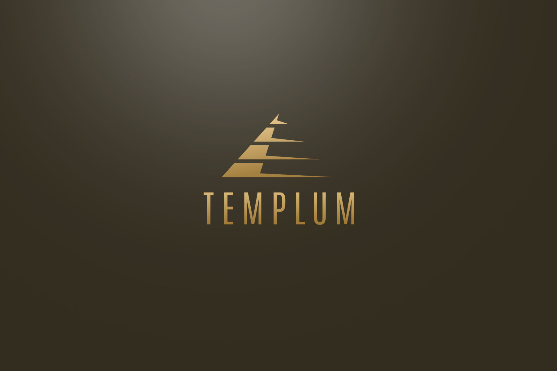 Templum Design Logo Case Study
