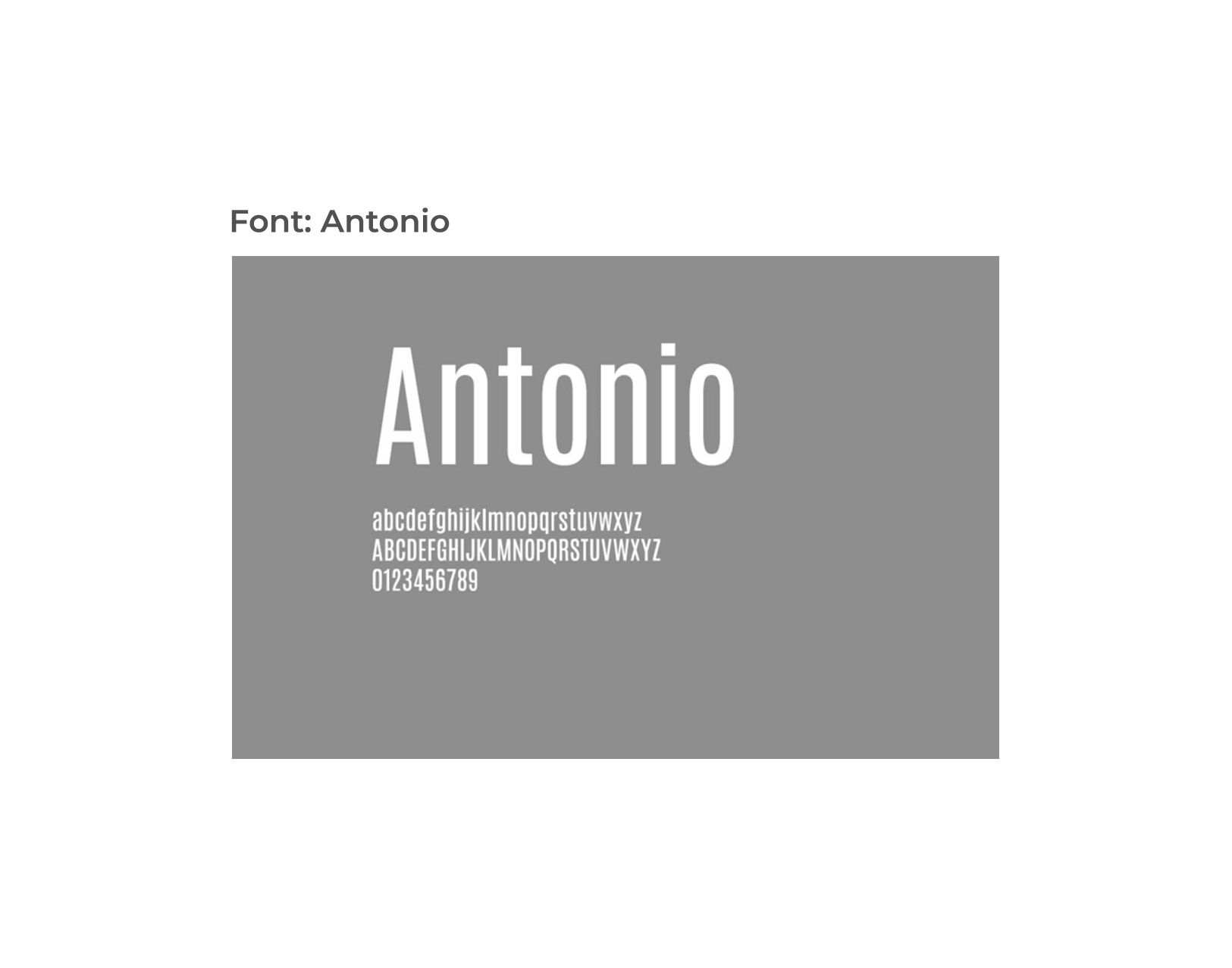 Antonio font used in the Templum logo