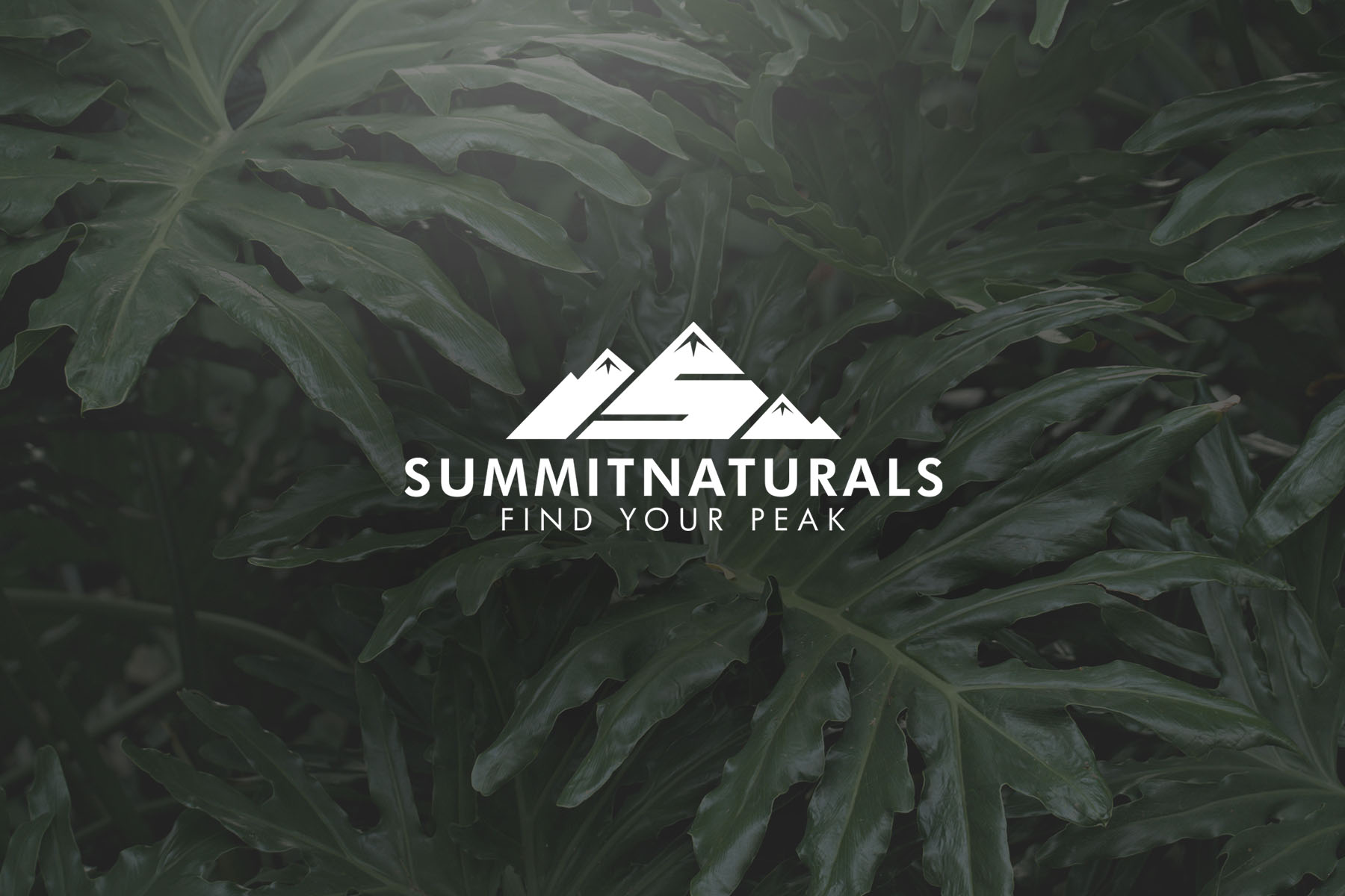 Summit Naturals Logo Cover Image