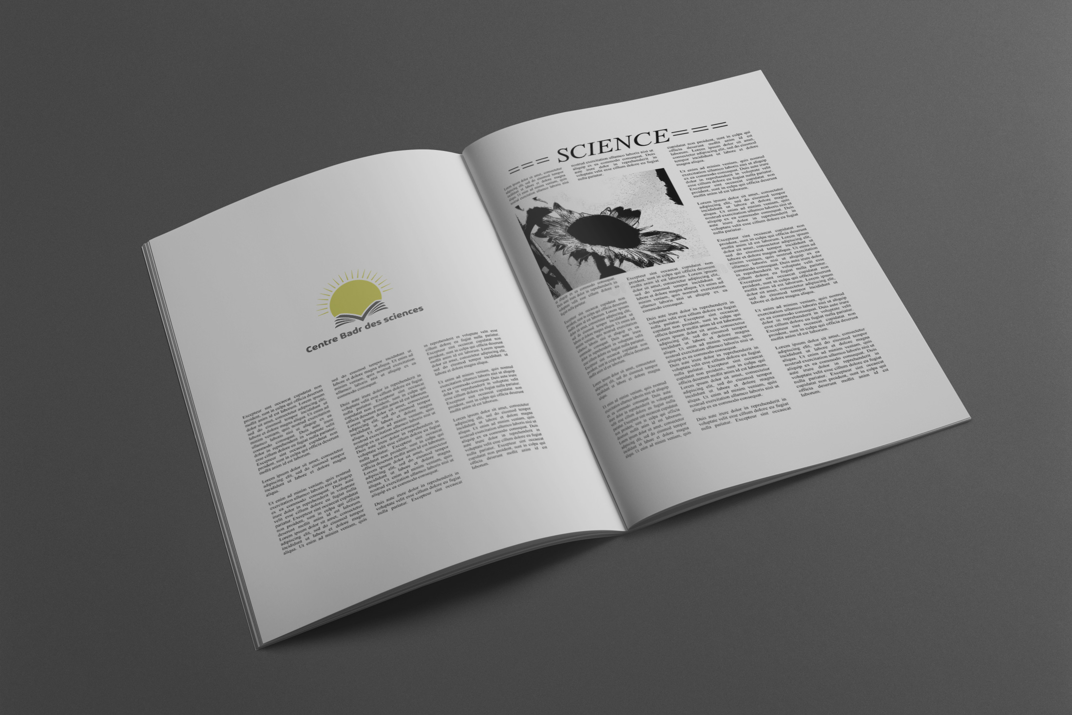 Final Logo on Magazine