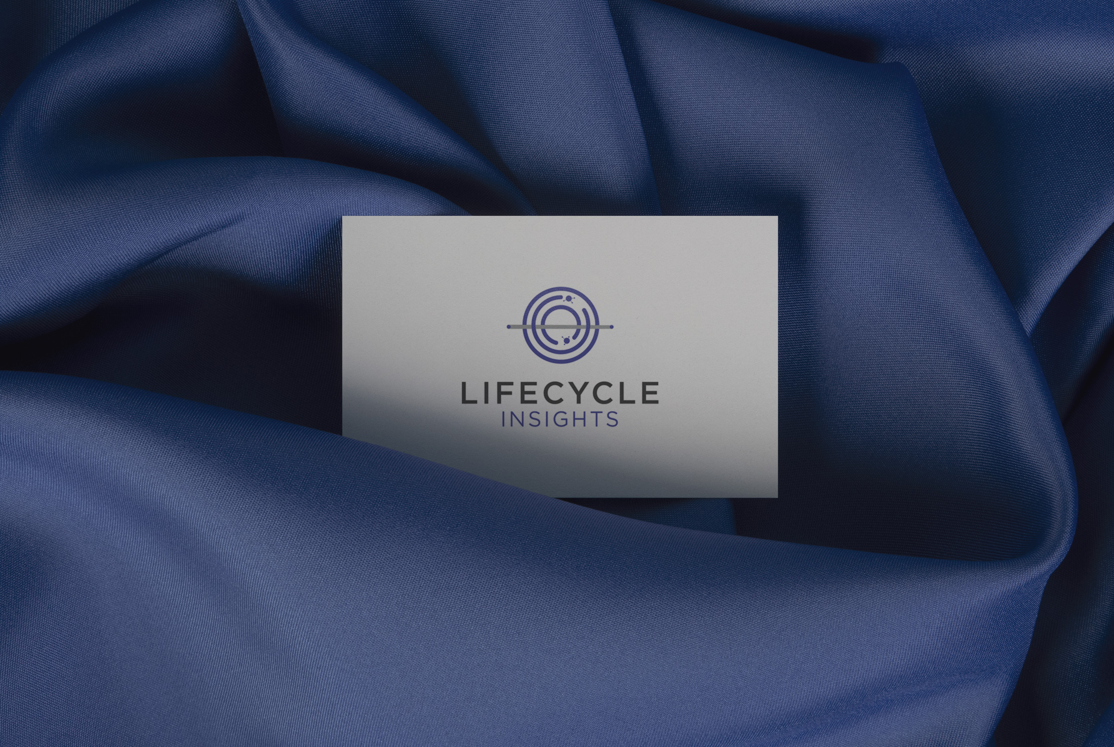 Lifecycle Insights Logo Business Card Mockup