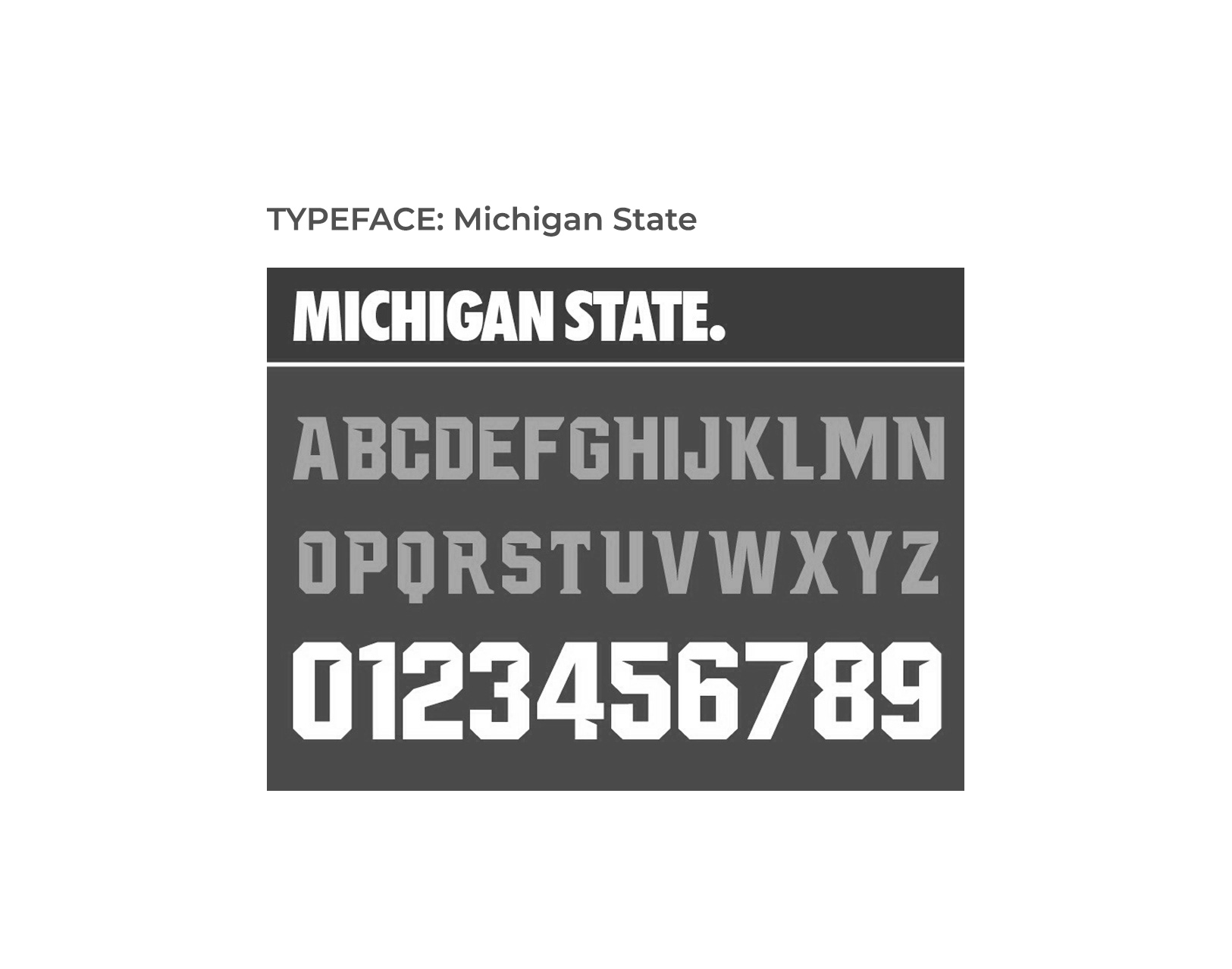 Michigan State font used in FD Fitness logo