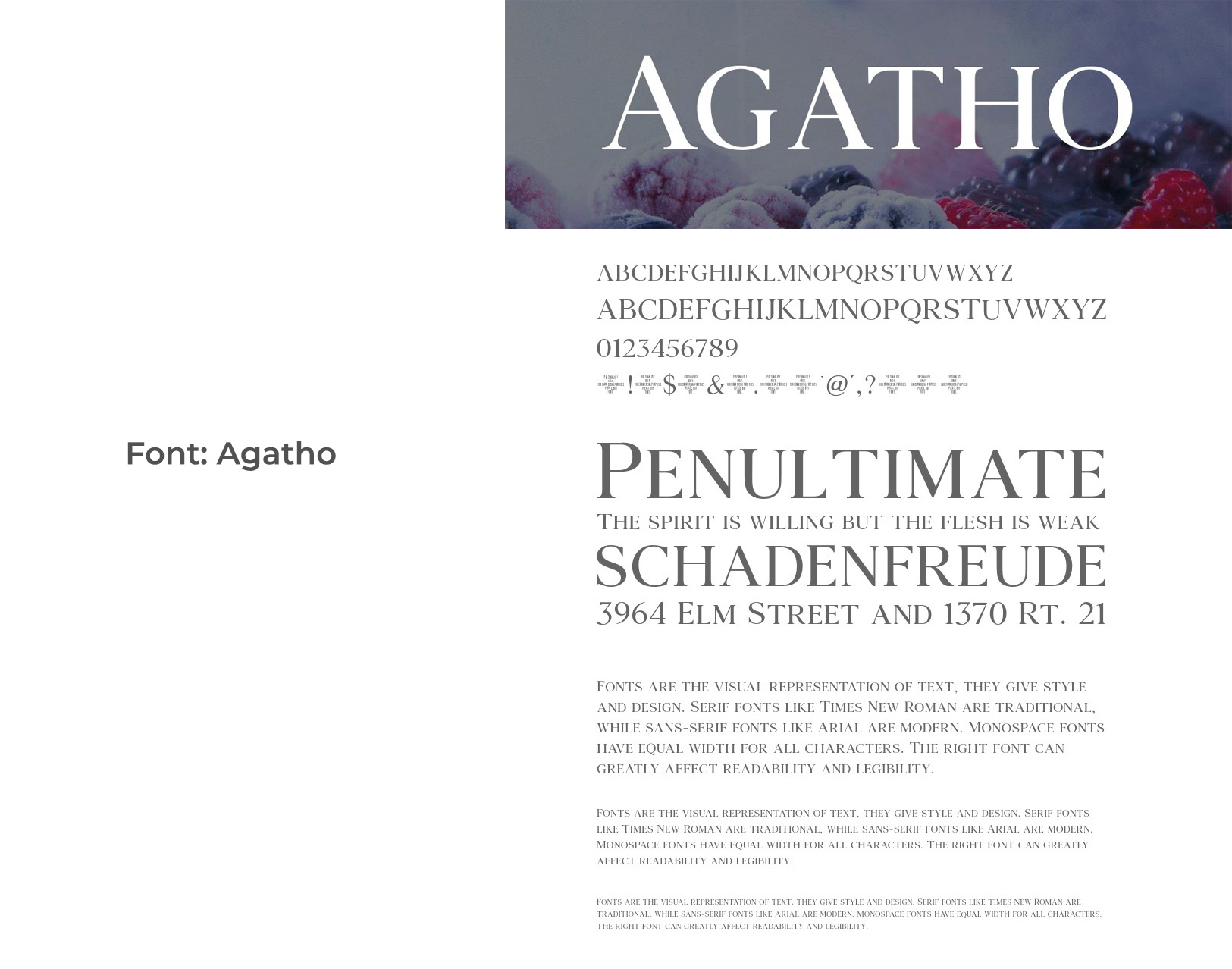 Agatho font used in Breathe Immigration logo